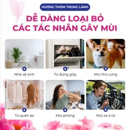 Túi Thơm Để Tủ Quần Áo Hygiene Thái Lan Hương Hoa Thơm Phòng Treo Xe Phòng Ngủ Loại Bỏ Ẩm Mốc 6