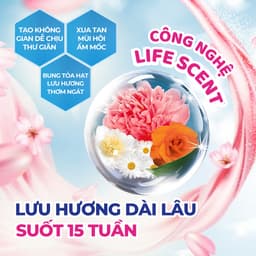 Túi Thơm Để Tủ Quần Áo Hygiene Thái Lan Hương Hoa Thơm Phòng Treo Xe Phòng Ngủ Loại Bỏ Ẩm Mốc 4