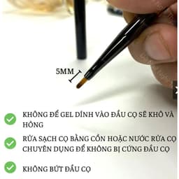 Cọ hoa cúc - Cọ vẽ hoa đầu dẹt vẽ hoa chuyên nghiệp 3