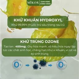Máy Khử Khuẩn Thực Phẩm Bằng Hydroxyl MIKOR MR11 4