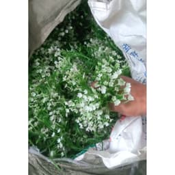 Cỏ điểm trang trí giỏ quà 4