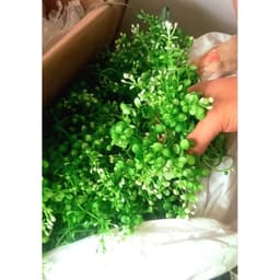 Cỏ điểm trang trí giỏ quà 3