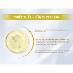 Meda S9 Duyên Thị Double White - Viên Uống Chống Nắng - Trắng Gấp Đôi (Hộp 3 lọ x 30 viên) 7