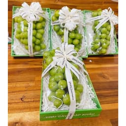 Khay giấy đựng hoa quả 1kg 3kg 5kg 8