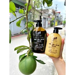 CHÍNH HÃNG Dầu Gội Xả 2IN1 Mộc Việt Cho Tóc Chắc Khỏe Cùng MỘC VIỆT 3