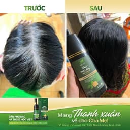 CHÍNH HÃNG Dầu Gội Phủ Bạc Mềm Mượt Mộc Việt 6