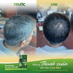 CHÍNH HÃNG Dầu Gội Phủ Bạc Mềm Mượt Mộc Việt 5