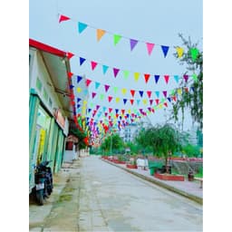 10M DÂY CỜ ĐUÔI NHEO TRANG TRÍ 5
