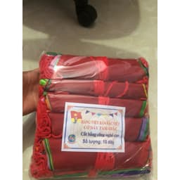 10M DÂY CỜ ĐUÔI NHEO TRANG TRÍ 6