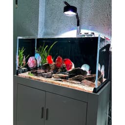 Đèn Zaqua  - A60 RGB + UV chuyên dụng cho bể cá cảnh thủy sinh 5