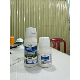 1 thùng 50 chai VELUM PRIME 400SC – KHỎE RỄ, TĂNG NĂNG SUẤT, tuyến trùng cây trồng, Bayer 2