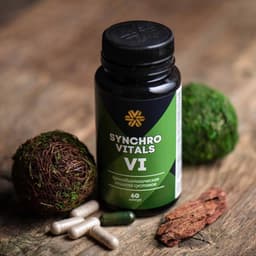 Thực phẩm Siberian Wellness Synchrovitals VI, hỗ trợ tăng tiết dịch nhầy khớp, tốt cho khớp 6