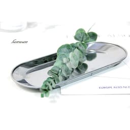 Lá cây bạch đàn Eucalyptus decor trang trí nhà cửa , phụ kiện chụp ảnh 8