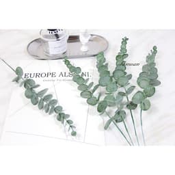 Lá cây bạch đàn Eucalyptus decor trang trí nhà cửa , phụ kiện chụp ảnh 4