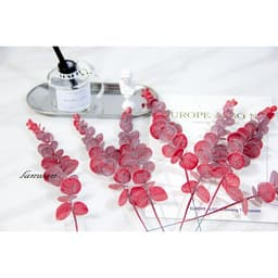 Lá cây bạch đàn Eucalyptus decor trang trí nhà cửa , phụ kiện chụp ảnh 6