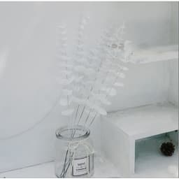 Lá cây bạch đàn Eucalyptus decor trang trí nhà cửa , phụ kiện chụp ảnh 9