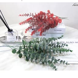 Lá cây bạch đàn Eucalyptus decor trang trí nhà cửa , phụ kiện chụp ảnh 1