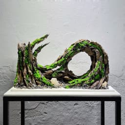 Layout Thuỷ Sinh Cầu Vồng Ver.2 l Layout Bể Cá Thủy Sinh Đa Dạng Kích Thước Từ 20-40cm | RF Aquarium 7