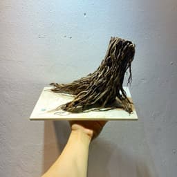 Layout Nhất Trụ Ver.4 l Layout Thuỷ Sinh Thủy Sinh Chế Tác Thủ Công Từ Gỗ Lũa Tự Nhiên | RF Aquarium 5