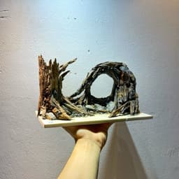 Layout Thuỷ Sinh Cầu Vồng Ver.2 l Layout Bể Cá Thủy Sinh Đa Dạng Kích Thước Từ 20-40cm | RF Aquarium 4