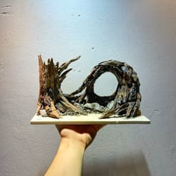 Layout Thuỷ Sinh Cầu Vồng Ver.2 l Layout Bể Cá Thủy Sinh Đa Dạng Kích Thước Từ 20-40cm | RF Aquarium 3
