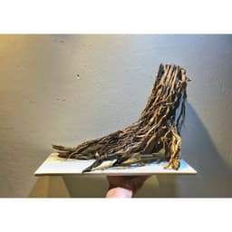 Layout Nhất Trụ Ver.4 l Layout Thuỷ Sinh Thủy Sinh Chế Tác Thủ Công Từ Gỗ Lũa Tự Nhiên | RF Aquarium 6