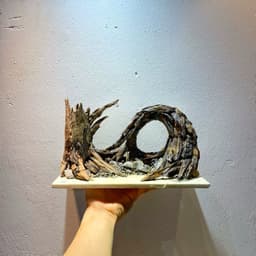 Layout Thuỷ Sinh Cầu Vồng Ver.2 l Layout Bể Cá Thủy Sinh Đa Dạng Kích Thước Từ 20-40cm | RF Aquarium 2