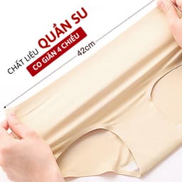 Quần Lót Su Đúc Cao Cấp Chất Thun Lạnh Không Viền Không Đường May Lê Ngọc 093 2
