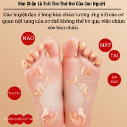 Miếng Dán Thải Độc Chân Hộp 50 Miếng Dán Chân Thải Độc Ông Lão Giúp Ngủ Ngon Giảm Mệt Mỏi RIEM 4