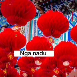 Lồng đèn đỏ chữ Phúc Cực Dày 55cm/50cm/40cm/30cm - đèn lồng đỏ nilong chống nước trang trí Tết, nhà Chùa, Lễ hội 6