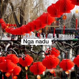 Lồng đèn đỏ chữ Phúc Cực Dày 55cm/50cm/40cm/30cm - đèn lồng đỏ nilong chống nước trang trí Tết, nhà Chùa, Lễ hội 2