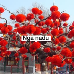Lồng đèn đỏ chữ Phúc Cực Dày 55cm/50cm/40cm/30cm - đèn lồng đỏ nilong chống nước trang trí Tết, nhà Chùa, Lễ hội 3