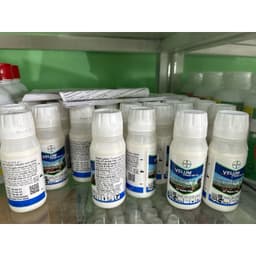 1 thùng 50 chai VELUM PRIME 400SC – KHỎE RỄ, TĂNG NĂNG SUẤT, tuyến trùng cây trồng, Bayer 4