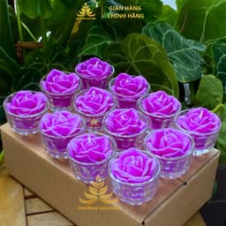 Hộp 12 Ly Nến Hoa Hồng, Nến Bơ Organic Dâng Phật Cúng Mụ Cúng Dường An Toàn Không Khói Cháy 8h 4
