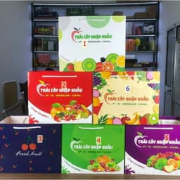 (Bộ KhayTúi) đựng hoa quả, trái cây nhập khẩu 1kg, 3kg, 5kg 2
