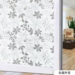 (HCM) Decal dán kính làm mờ chống nắng nóng, Phim decal dán nhà tắm chống nhìn trộm, chống nước dán Tĩnh Điện KHÔNG KEO 3