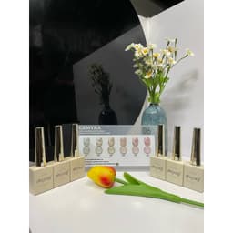 Sét sơn gel mắt mèo ánh trăng Milan 6 chai chất sơn đặc tặng kèm bảng 3