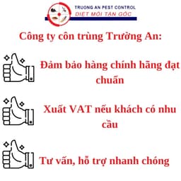 Thuốc diệt kiến tận gốc, dạng nhỏ giọt dụ kiến bu vào, diệt cả tổ 3