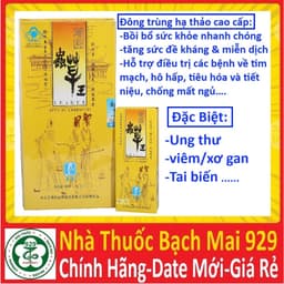 [hộp 4 ống] Trùng thảo vương lý khoa, đông trùng hạ thảo vàng league king of cordyceps 3