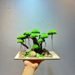 Layout Bonsai Ver.2 Tán Rêu Xanh Gắn Sẵn | Điểm Nhấn Nổi Bật Cho Bể Cá Thuỷ Sinh | RF Aquarium 2