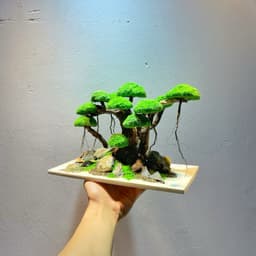 Layout Bonsai Ver.2 Tán Rêu Xanh Gắn Sẵn | Điểm Nhấn Nổi Bật Cho Bể Cá Thuỷ Sinh | RF Aquarium 4