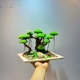 Layout Bonsai Ver.2 Tán Rêu Xanh Gắn Sẵn | Điểm Nhấn Nổi Bật Cho Bể Cá Thuỷ Sinh | RF Aquarium 3