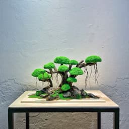 Layout Bonsai Ver.2 Tán Rêu Xanh Gắn Sẵn | Điểm Nhấn Nổi Bật Cho Bể Cá Thuỷ Sinh | RF Aquarium 7