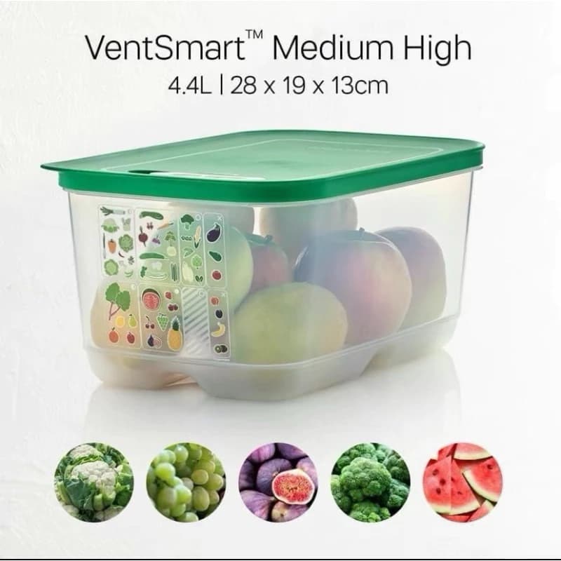 Hộp Trữ mát Ventsmart 4.4L Nút Hô Hấp Thông Minh Tupperware