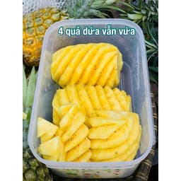 Hộp Trữ mát Ventsmart 4.4L Nút Hô Hấp Thông Minh Tupperware 2