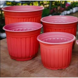 Chậu nhựa trồng hoa (kích thước 23x16cm) shop lấy màu ngẫu nhiên 1
