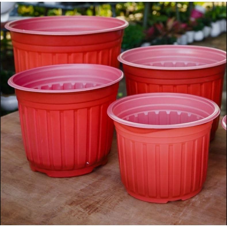 Chậu nhựa trồng hoa (kích thước 23x16cm) shop lấy màu ngẫu nhiên