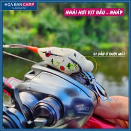 Combo Nhái Hơi VỊT BẦU | 3 Mẫu/Combo 9