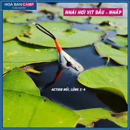 Combo Nhái Hơi VỊT BẦU | 3 Mẫu/Combo 8