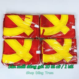 Cờ Đảng vải Sa Tanh chịu nắng mưa tốt đầy đủ kích thước 4
